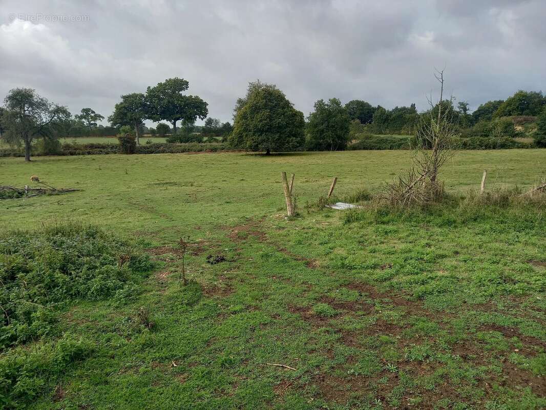 Maison à SAINT-GEORGES-BUTTAVENT