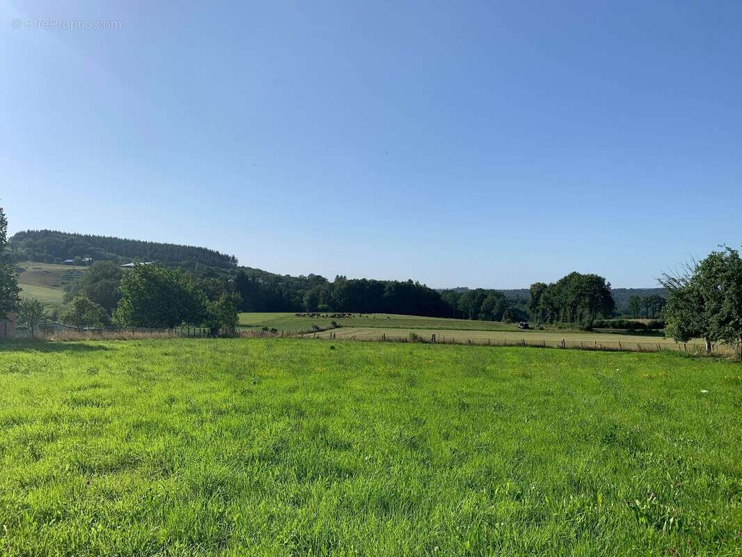 Terrain à NEUVIC-ENTIER