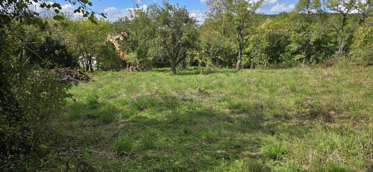 Terrain à BOUXIERES-AUX-DAMES