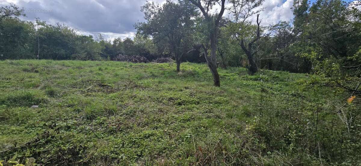 Terrain à BOUXIERES-AUX-DAMES
