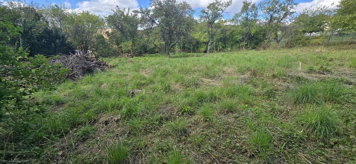 Terrain à BOUXIERES-AUX-DAMES