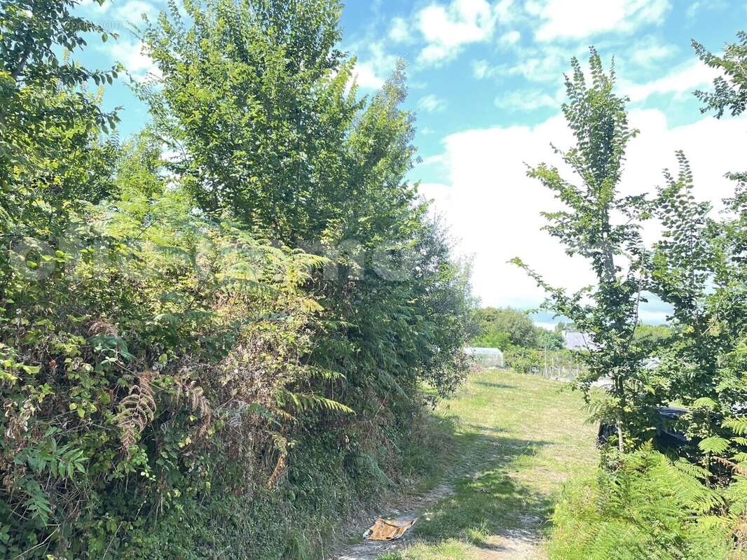 IMG_3579 - Terrain à SAINT-GILDAS-DE-RHUYS