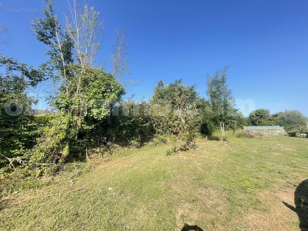 IMG_3601 - Terrain à SAINT-GILDAS-DE-RHUYS