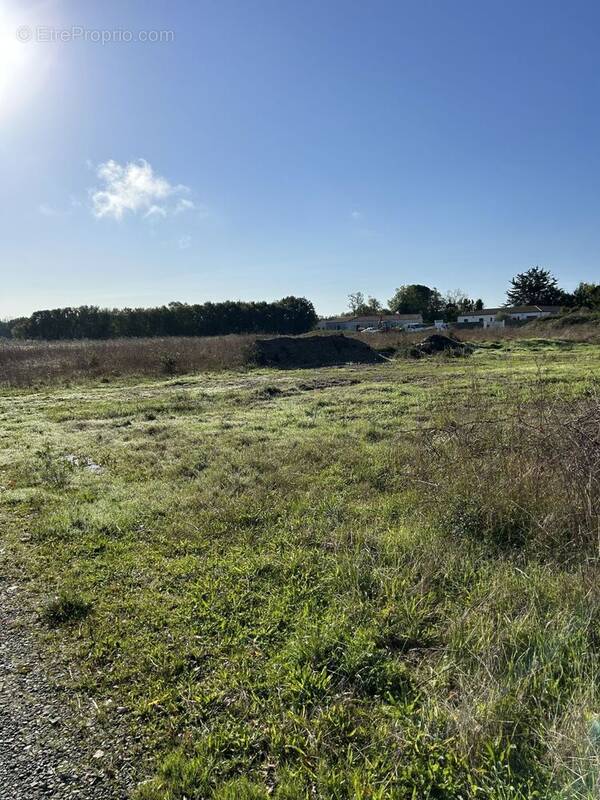 Terrain à LE GUE-D&#039;ALLERE