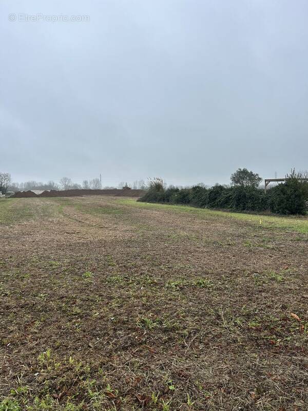 Terrain à SAINT-ROGATIEN