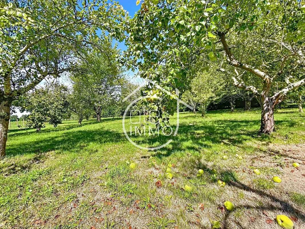 Maison à SAINT-EMILION