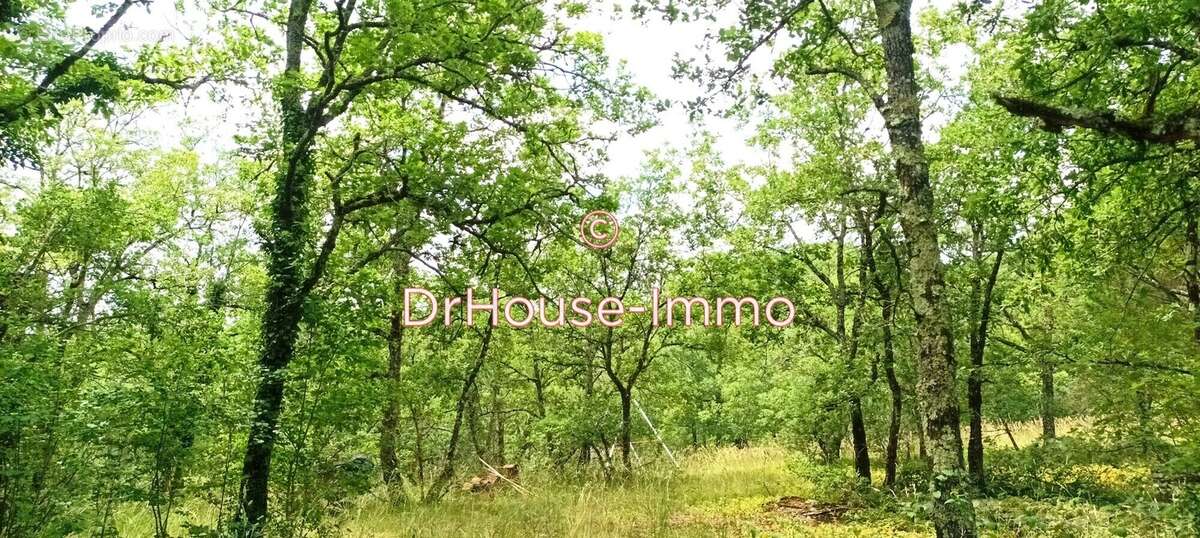 Terrain à MONTVALENT