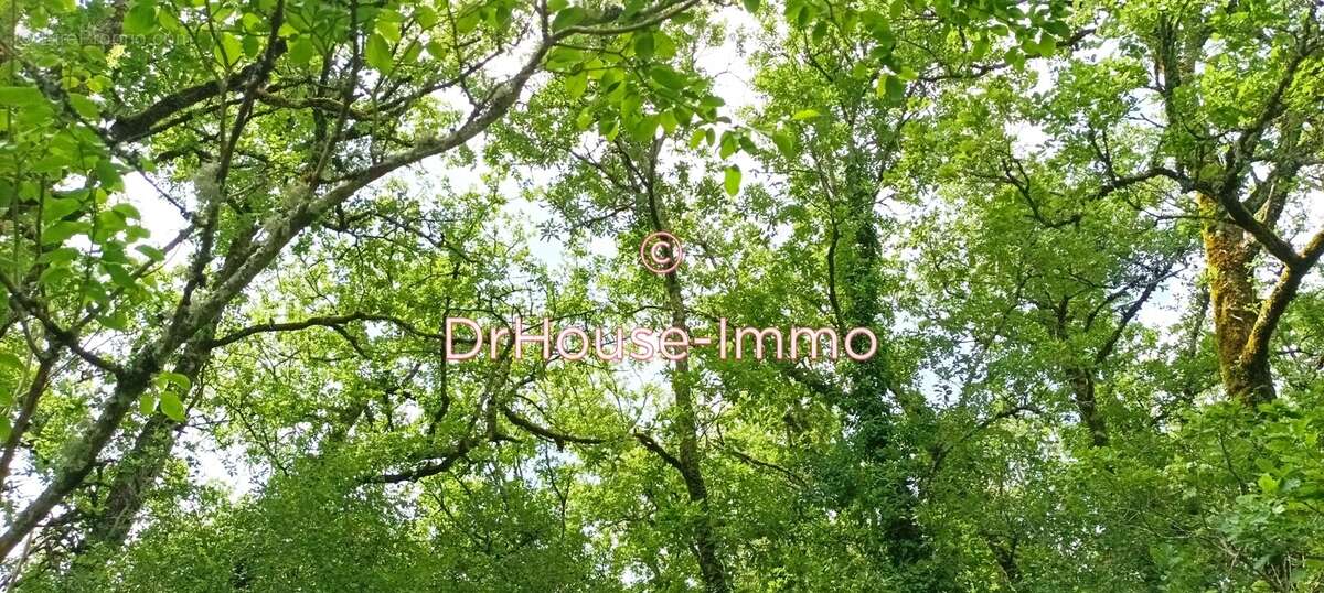 Terrain à MONTVALENT