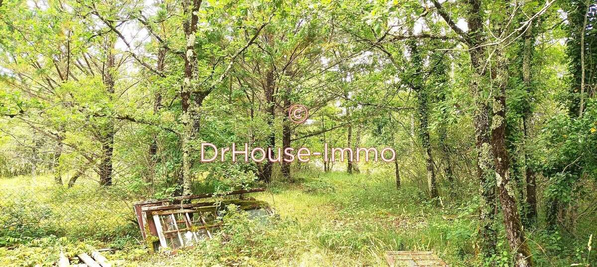 Terrain à MONTVALENT