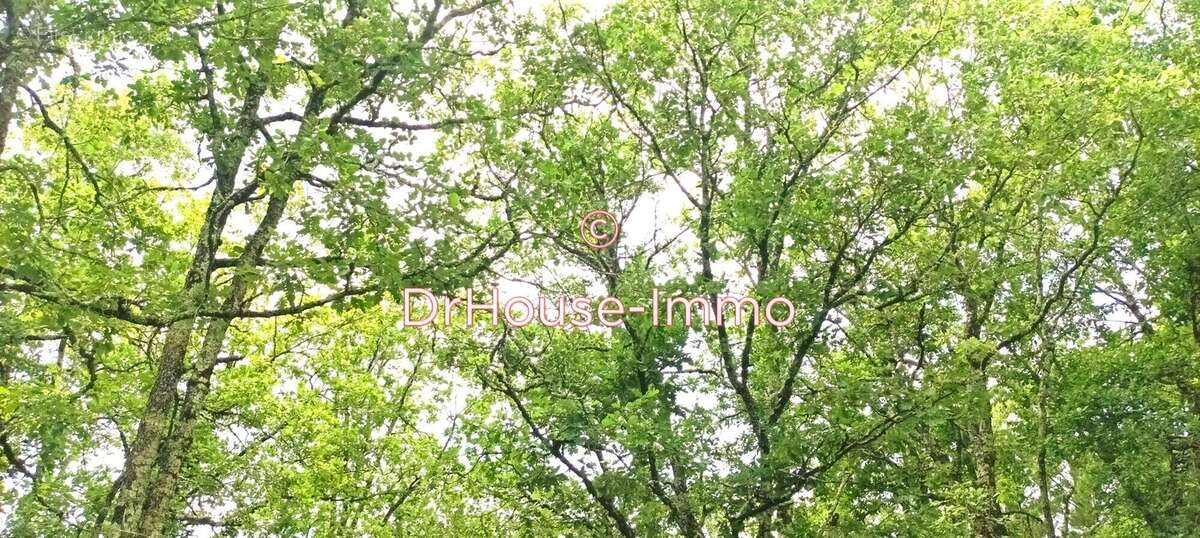 Terrain à MONTVALENT