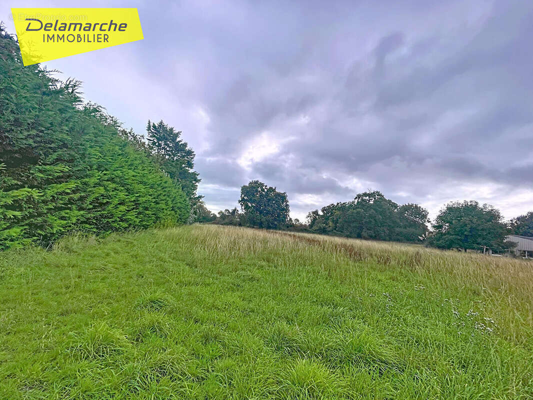 Terrain à BRICQUEVILLE-SUR-MER