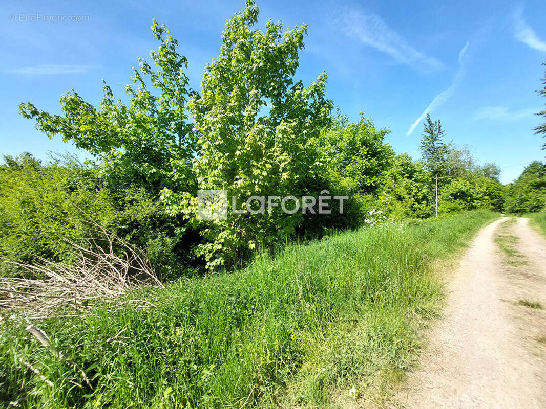 Terrain à VILLERUPT