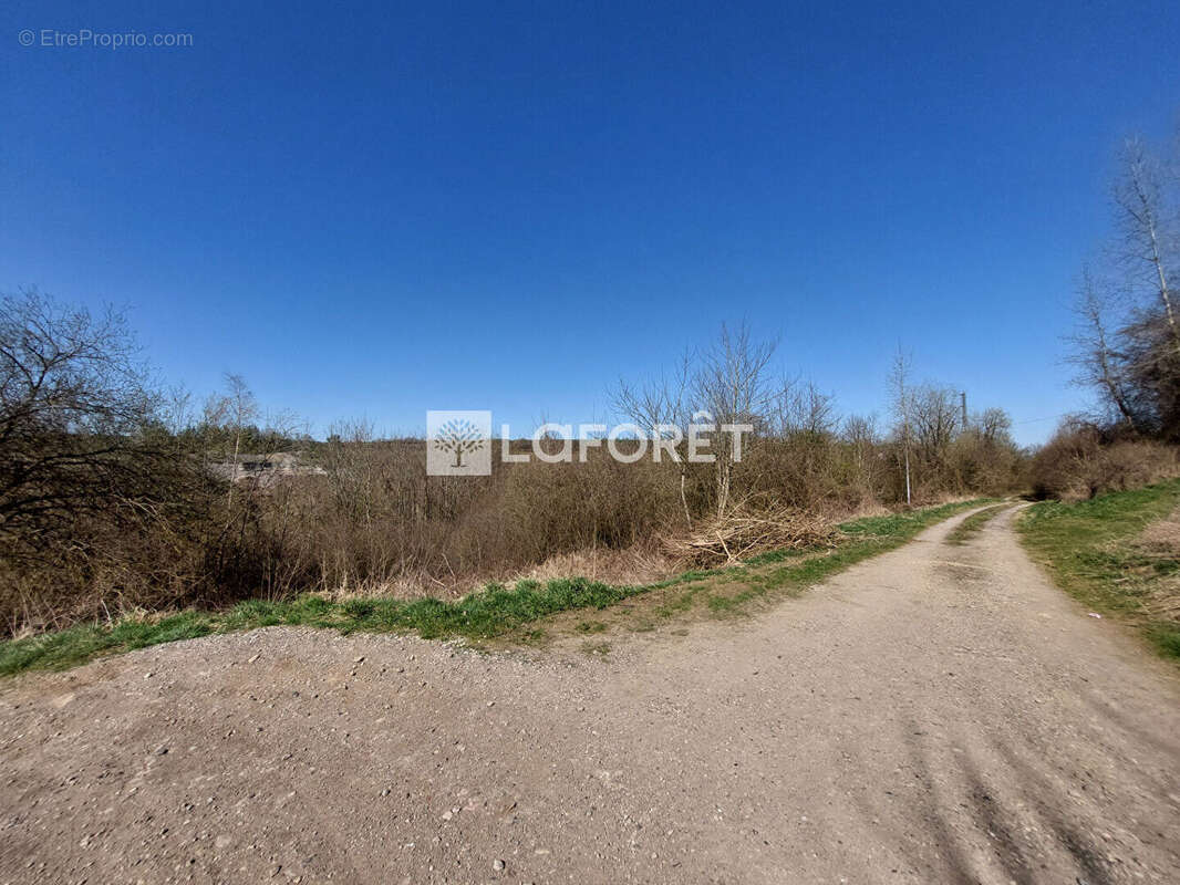Terrain à VILLERUPT