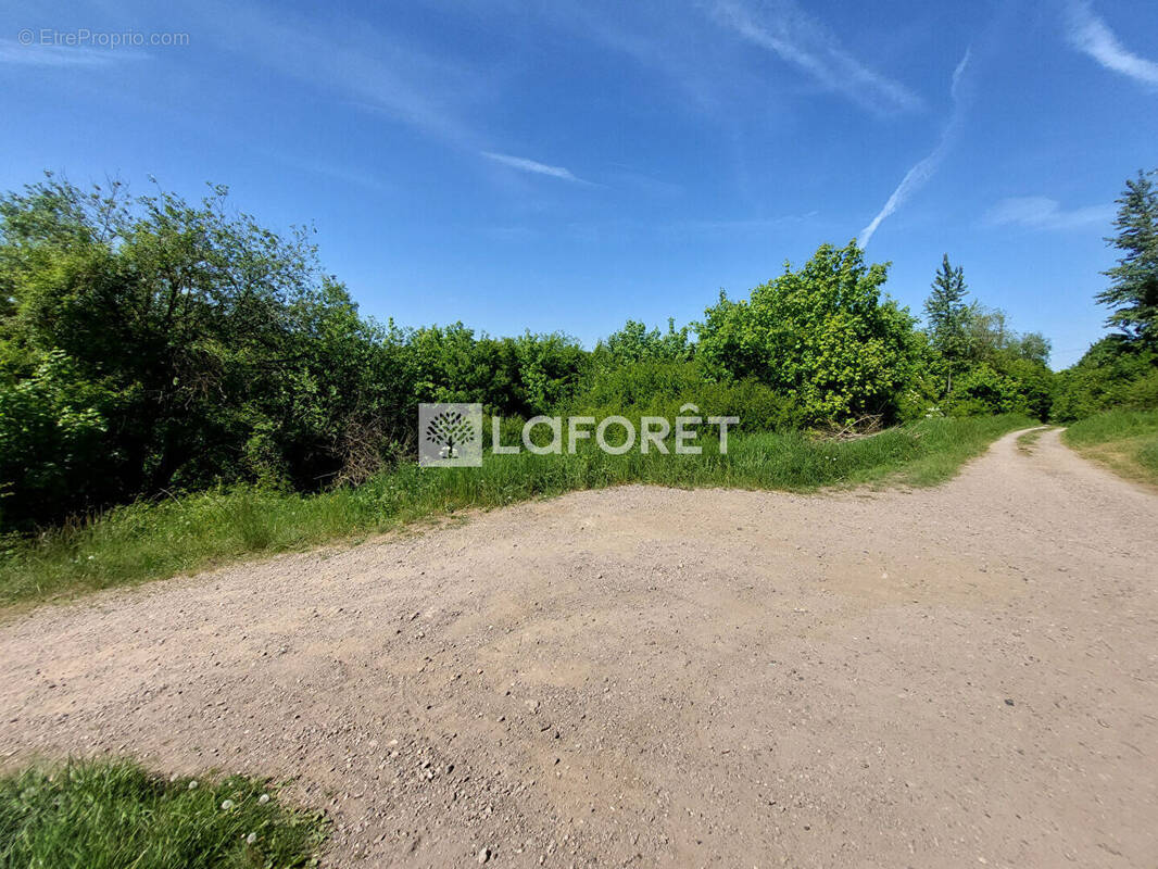 Terrain à VILLERUPT