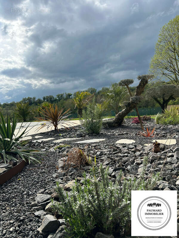 jardin et sa rocaille  - Maison à ROMANS-SUR-ISERE
