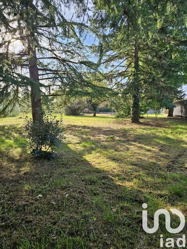Photo 3 - Terrain à COUTRAS