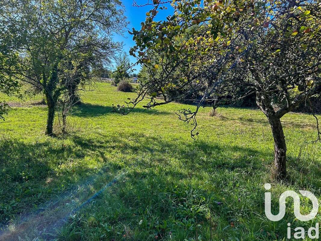 Photo 4 - Maison à ROYERES