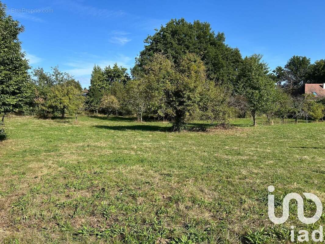 Photo 6 - Maison à ROYERES