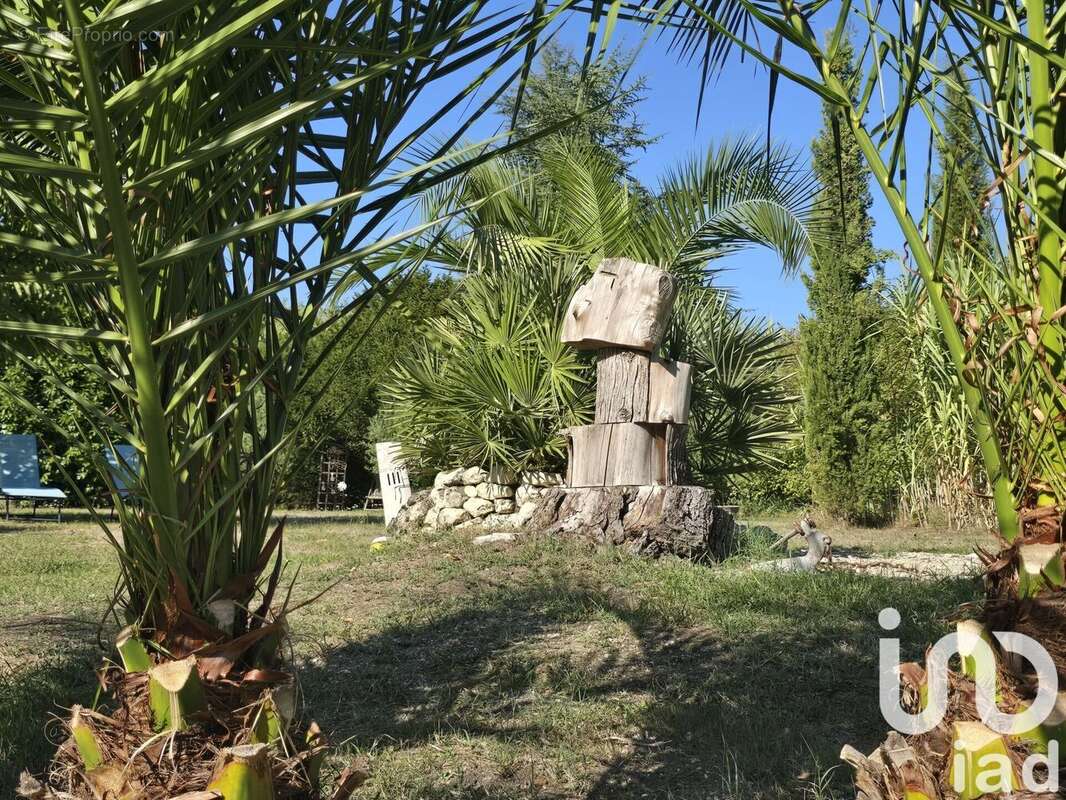 Photo 5 - Maison à DEVIAT