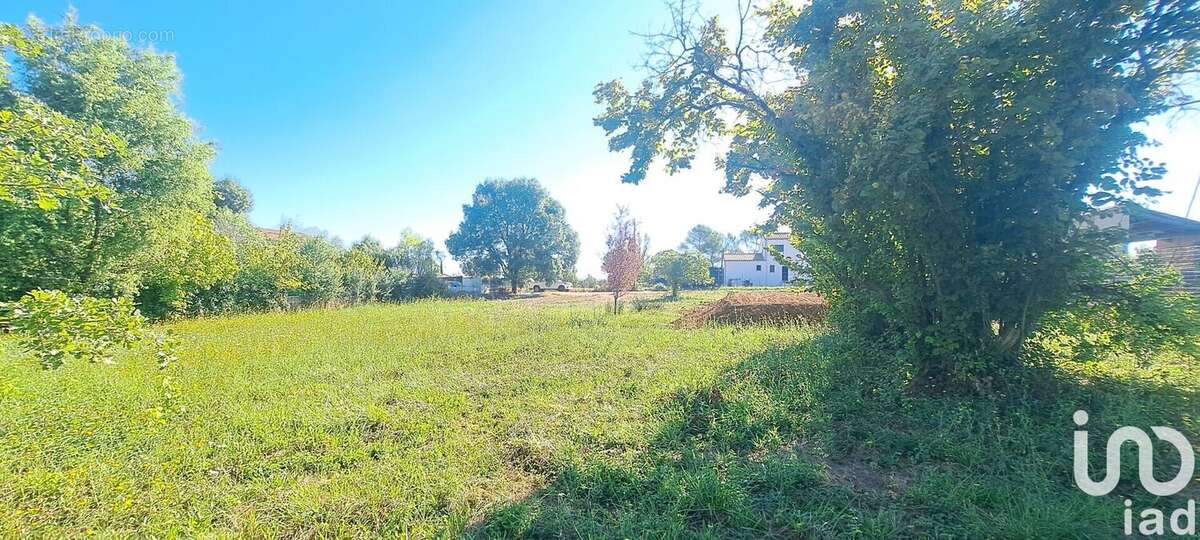 Photo 7 - Terrain à POTELIERES