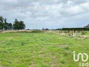 Photo 1 - Terrain à SAINT-VALERY-EN-CAUX