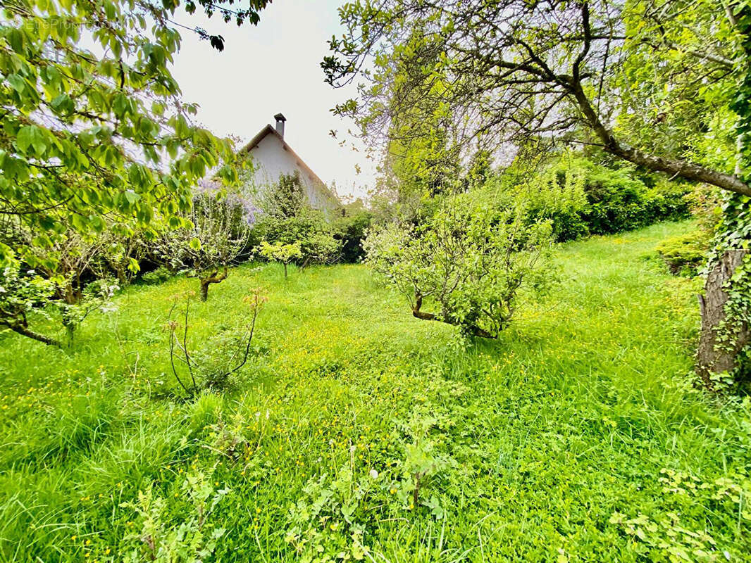 Maison à SAINT-LEU-LA-FORET