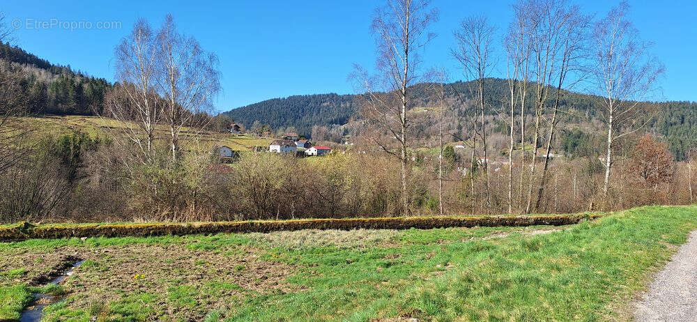 Terrain à VENTRON