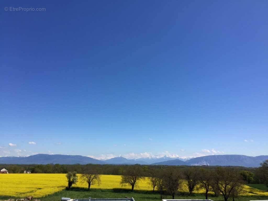 Appartement à LA ROCHE-SUR-FORON