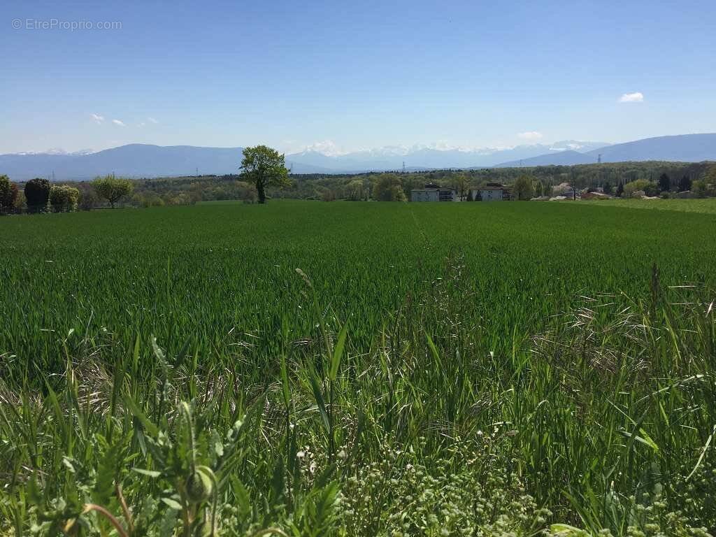 Appartement à LA ROCHE-SUR-FORON