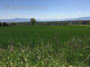 Appartement à LA ROCHE-SUR-FORON