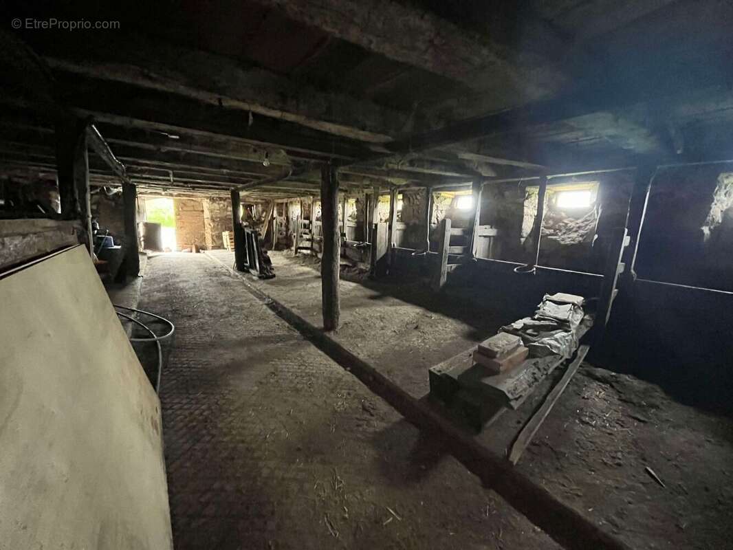 Ecurie - Maison à CHAMPAGNAC