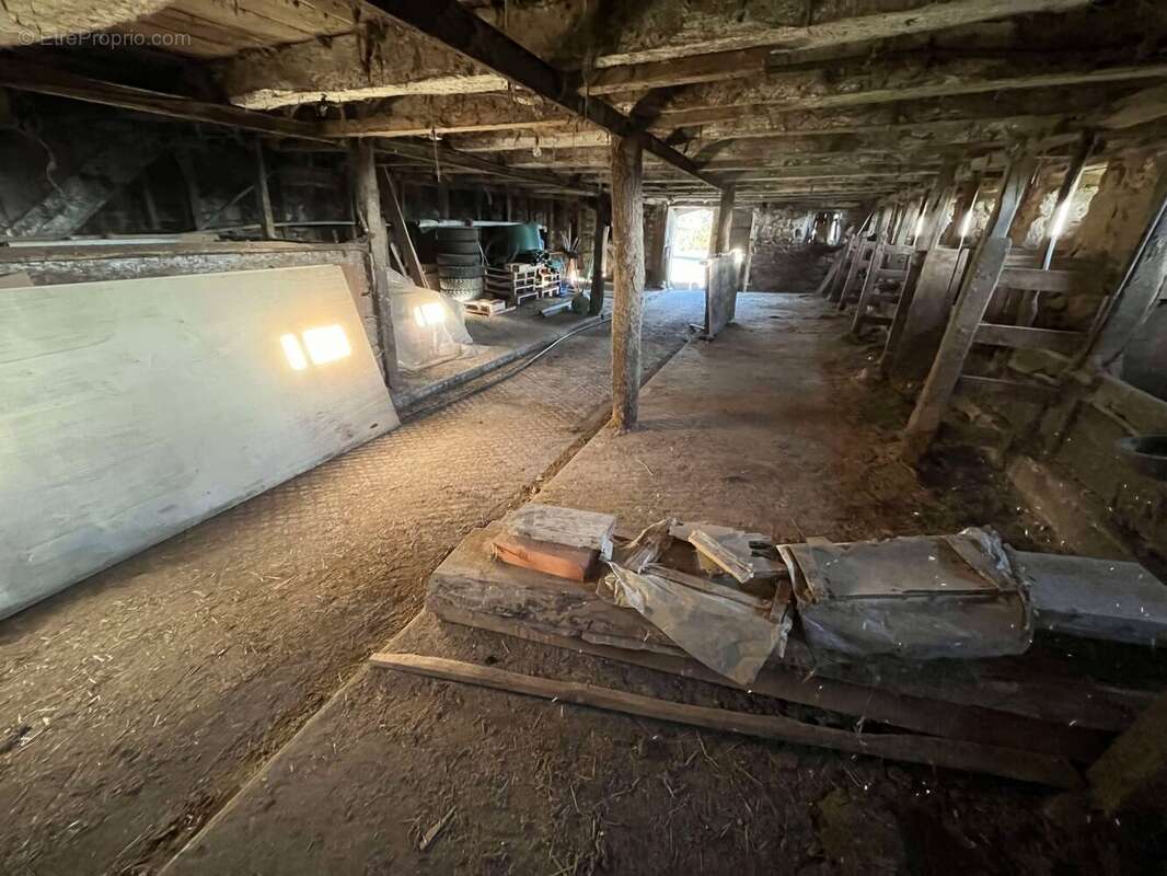 Ecurie - Maison à CHAMPAGNAC