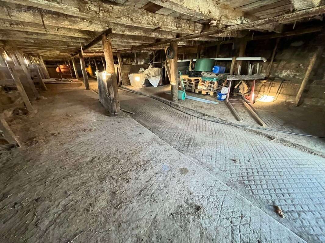 Ecurie - Maison à CHAMPAGNAC