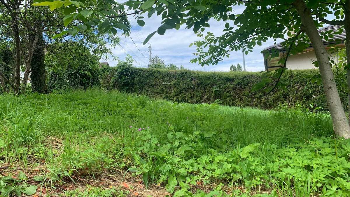 Terrain à EVIAN-LES-BAINS