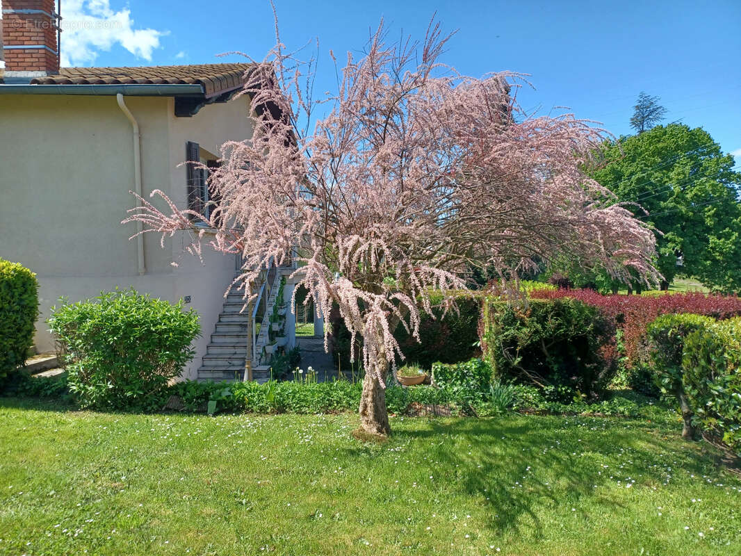 Maison à SAINT-CHAMOND