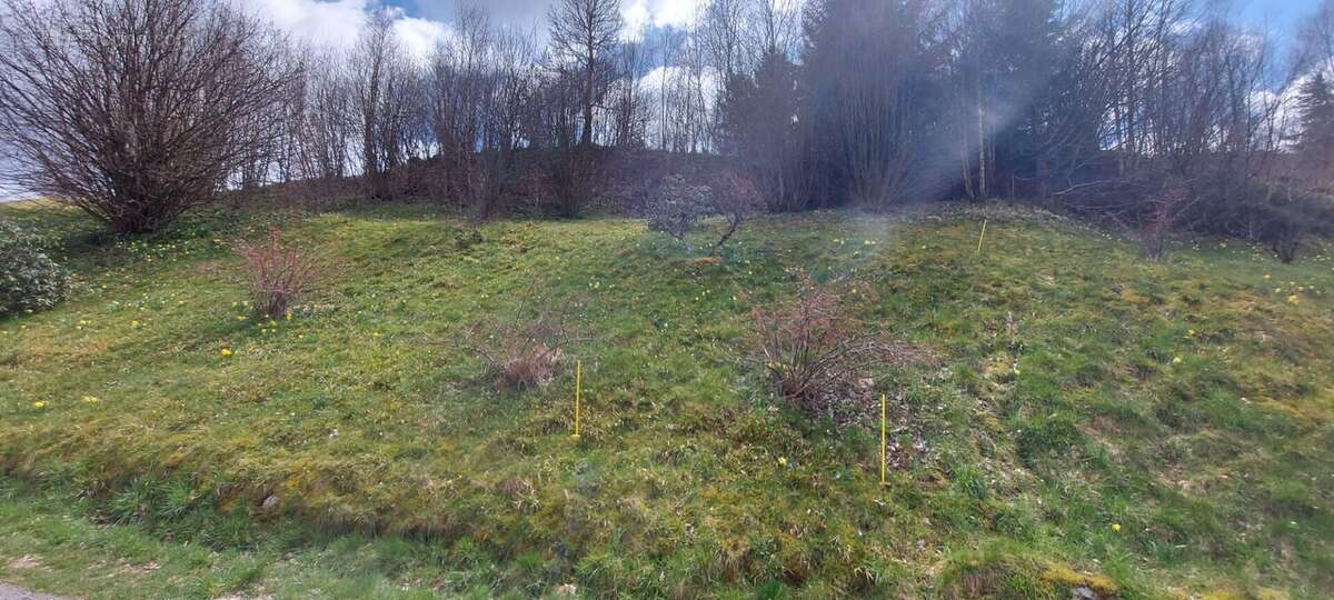 Terrain à GERARDMER