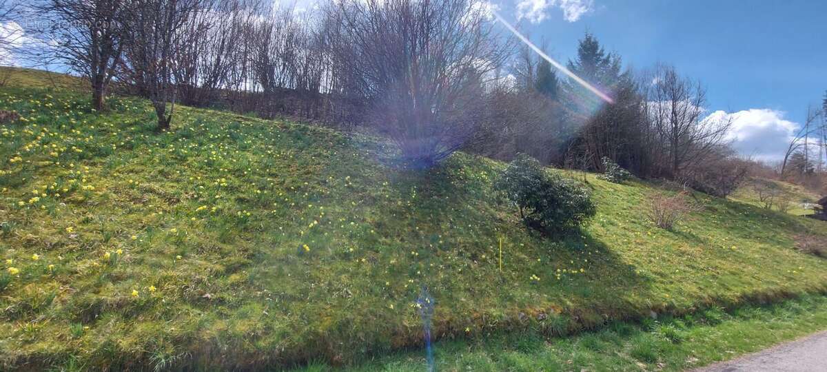 Terrain à GERARDMER