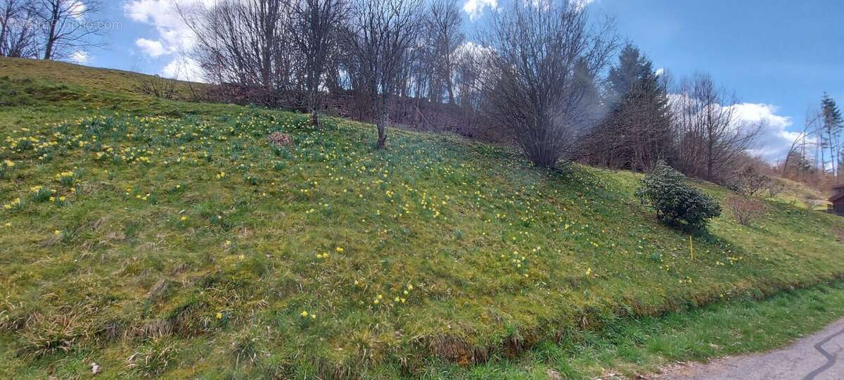 Terrain à GERARDMER