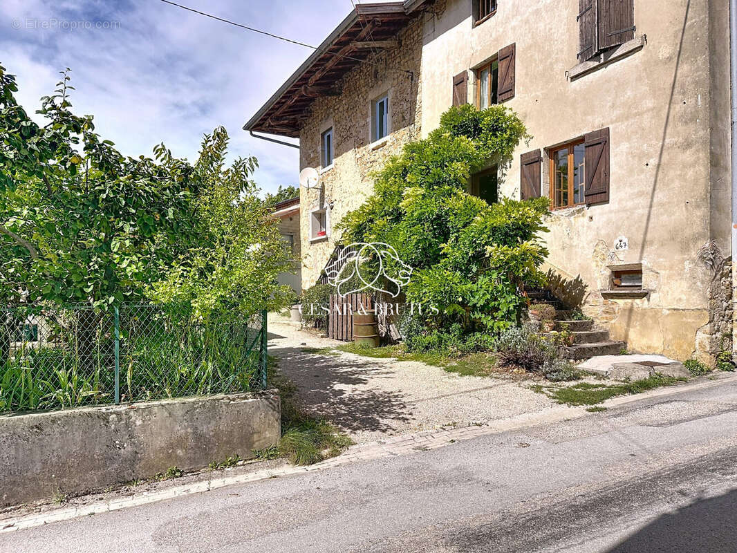 facade - Maison à SAINT-JEAN-LE-VIEUX