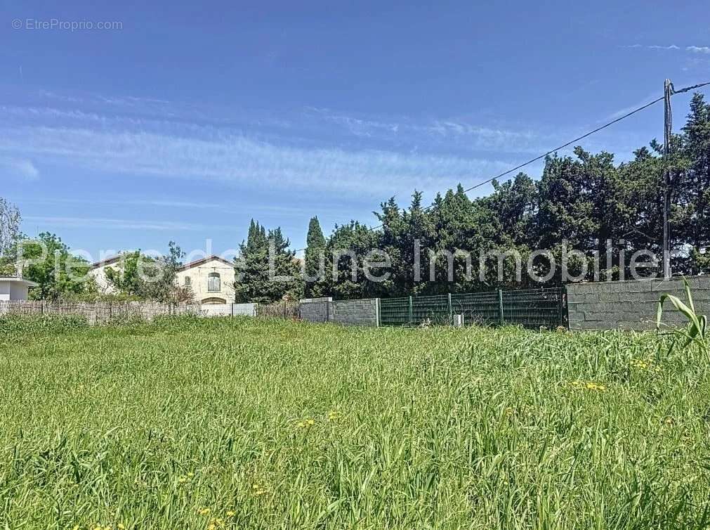 Terrain à PERPIGNAN