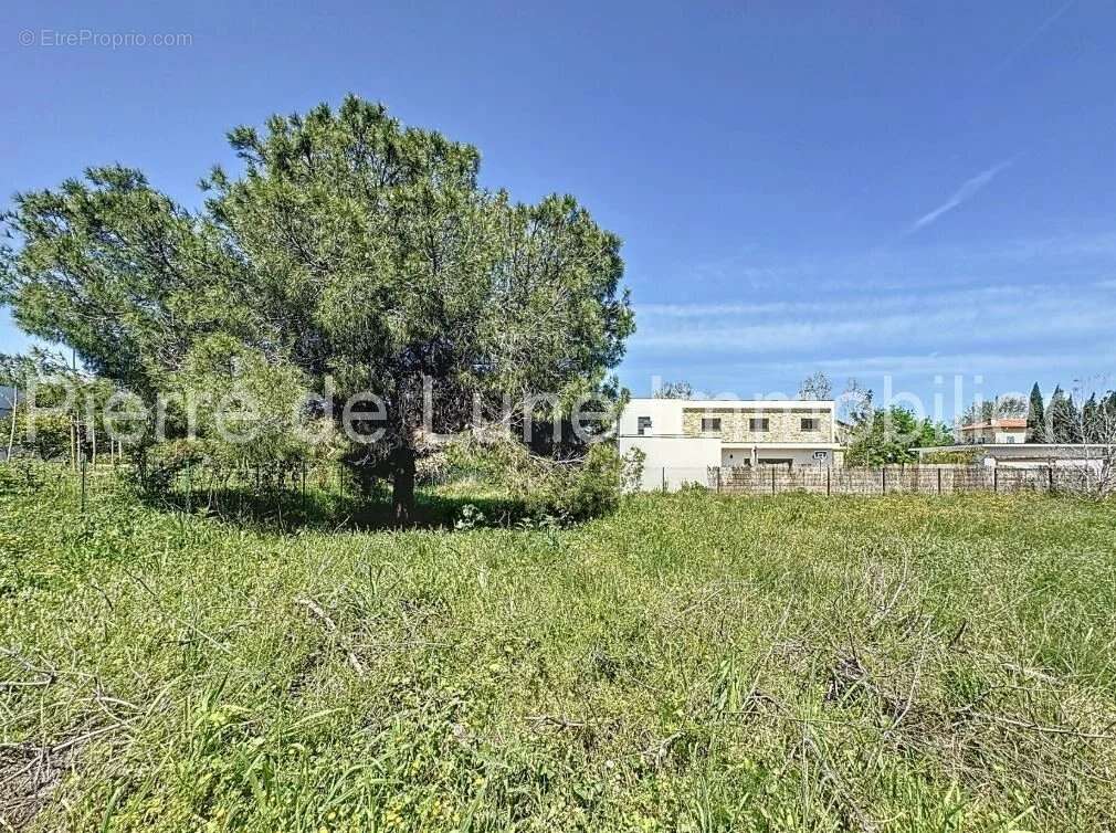 Terrain à PERPIGNAN