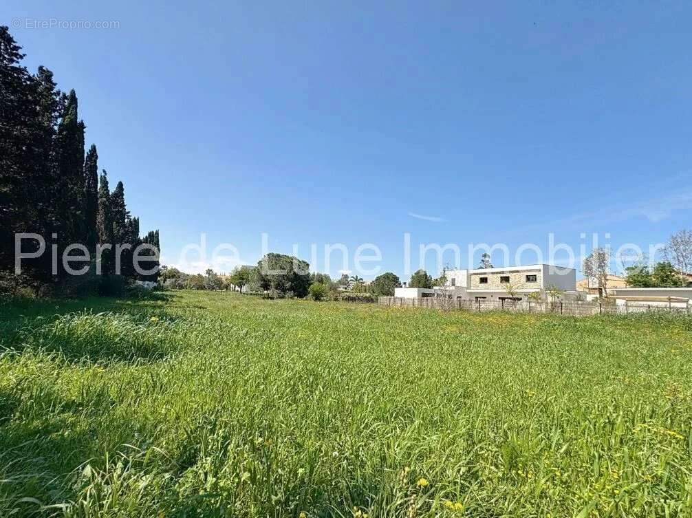 Terrain à PERPIGNAN