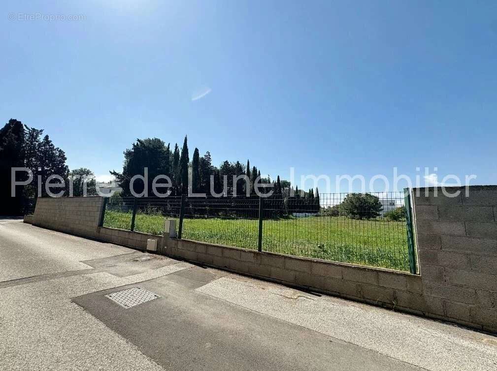 Terrain à PERPIGNAN