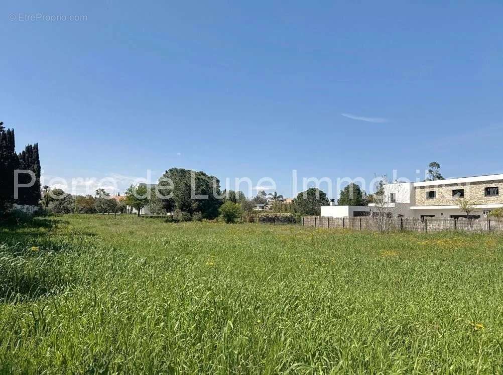 Terrain à PERPIGNAN