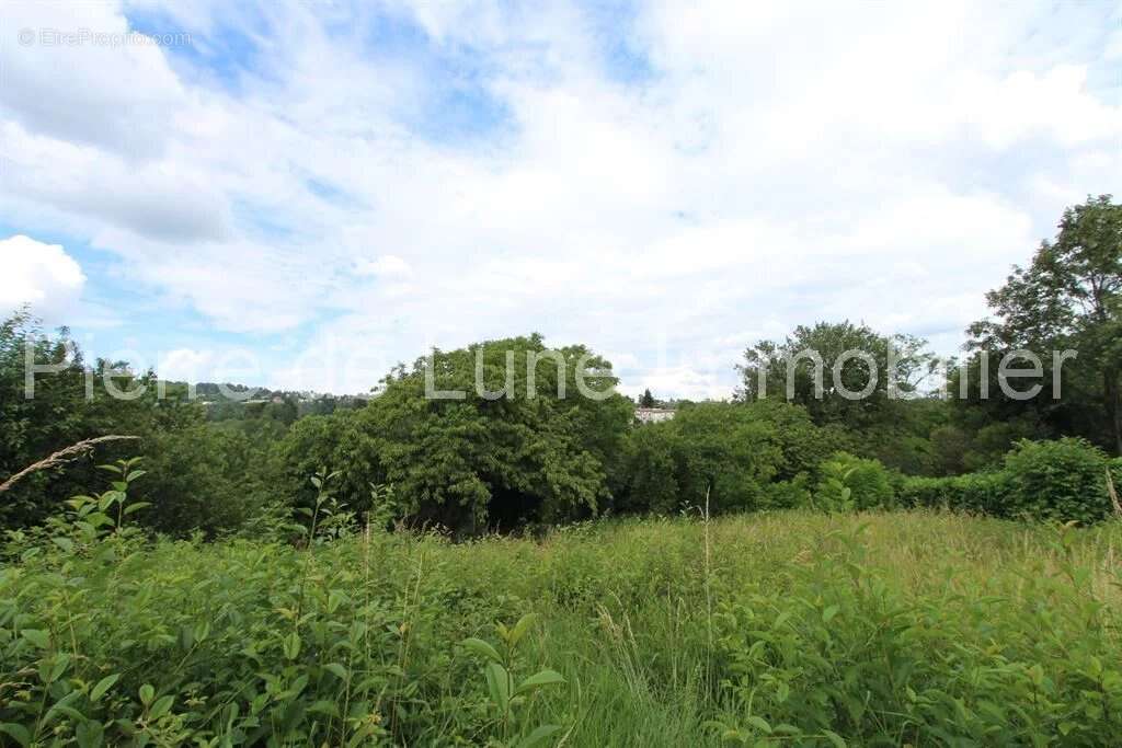Terrain à LIMONEST