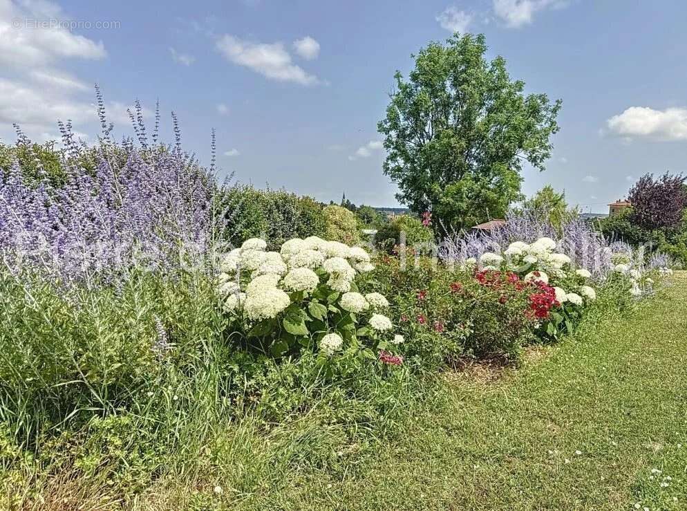Maison à SAINT-GERMAIN-SUR-L&#039;ARBRESLE
