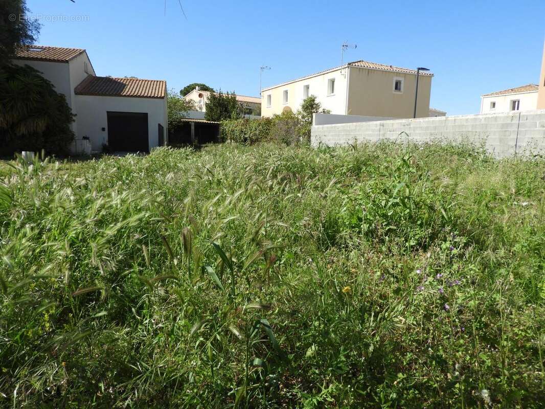 Terrain à FRONTIGNAN