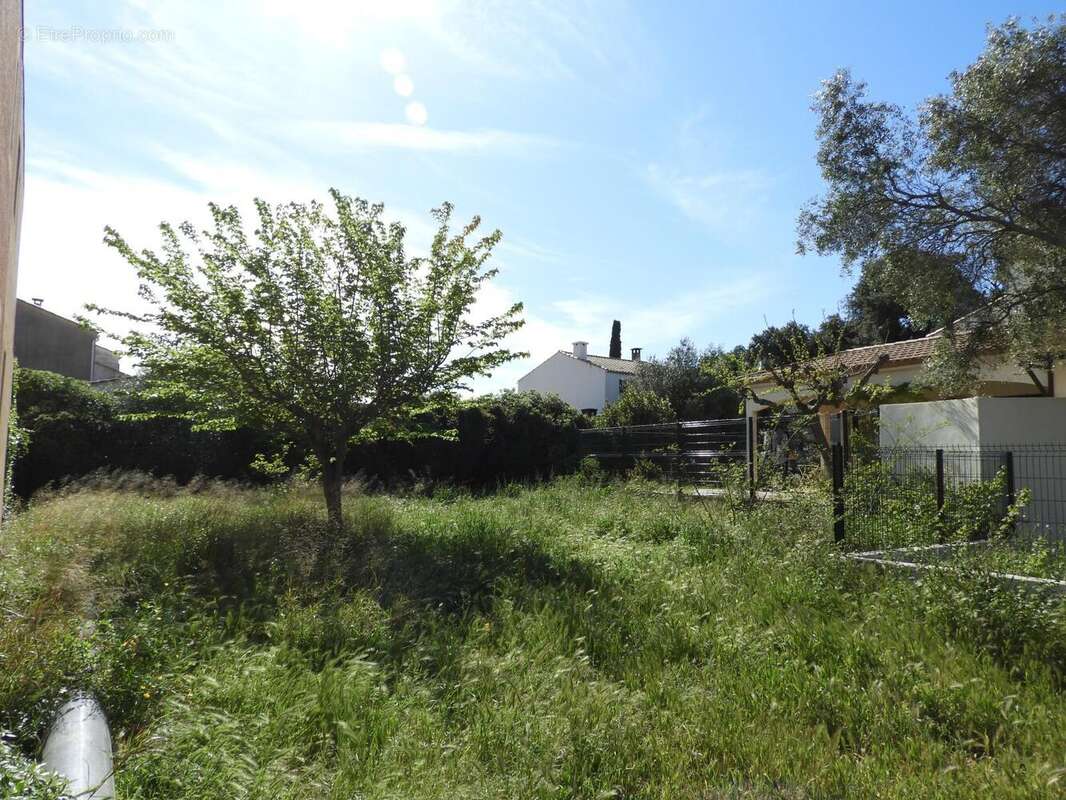 Terrain à FRONTIGNAN