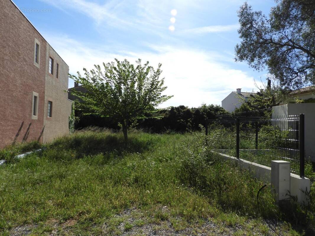 Terrain à FRONTIGNAN