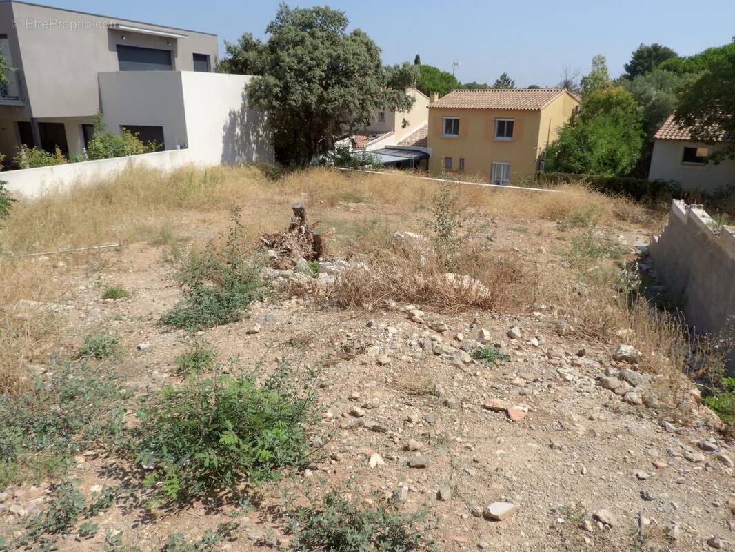 Terrain à FRONTIGNAN